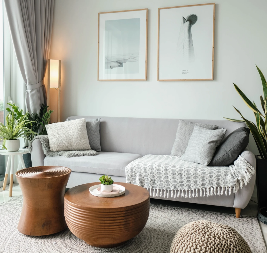 Como decorar sua casa com plantas: um guia prático.